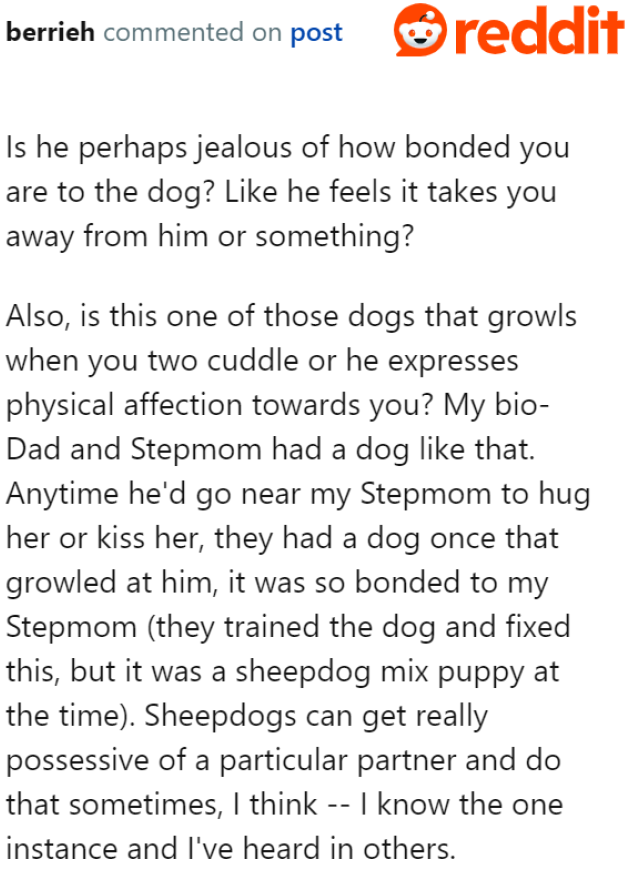 The husband getting jealous of the dog can also be a reason why he wants it gone.