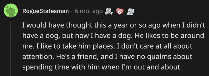 A former dog-free person was converted when they got a dog just a year ago. Now, they take their dog where they go because they just like them to be around.