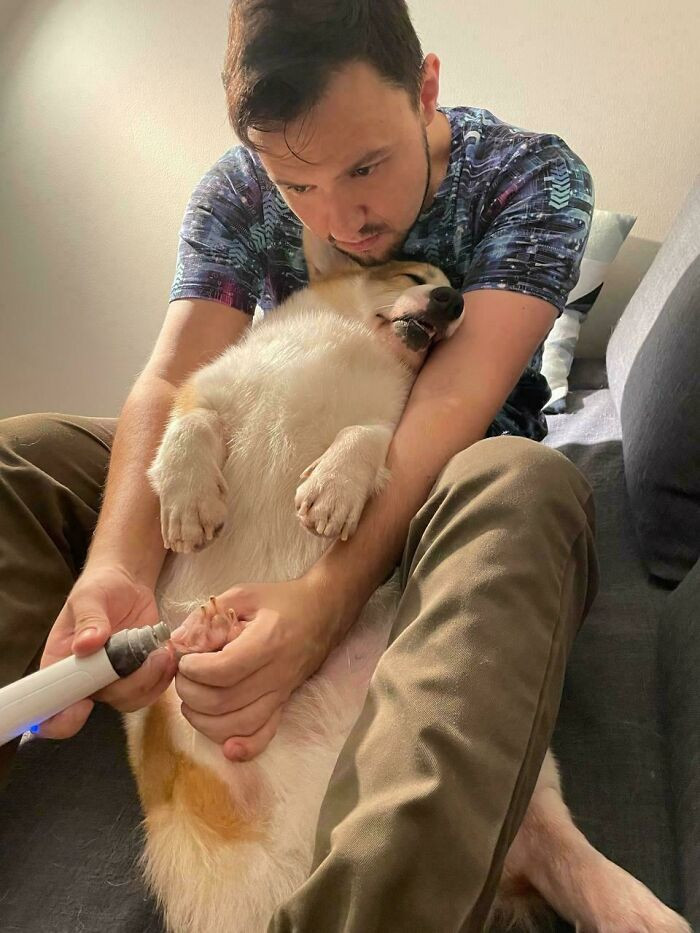 "Isn’t This Little Guy A Drama Queen?"