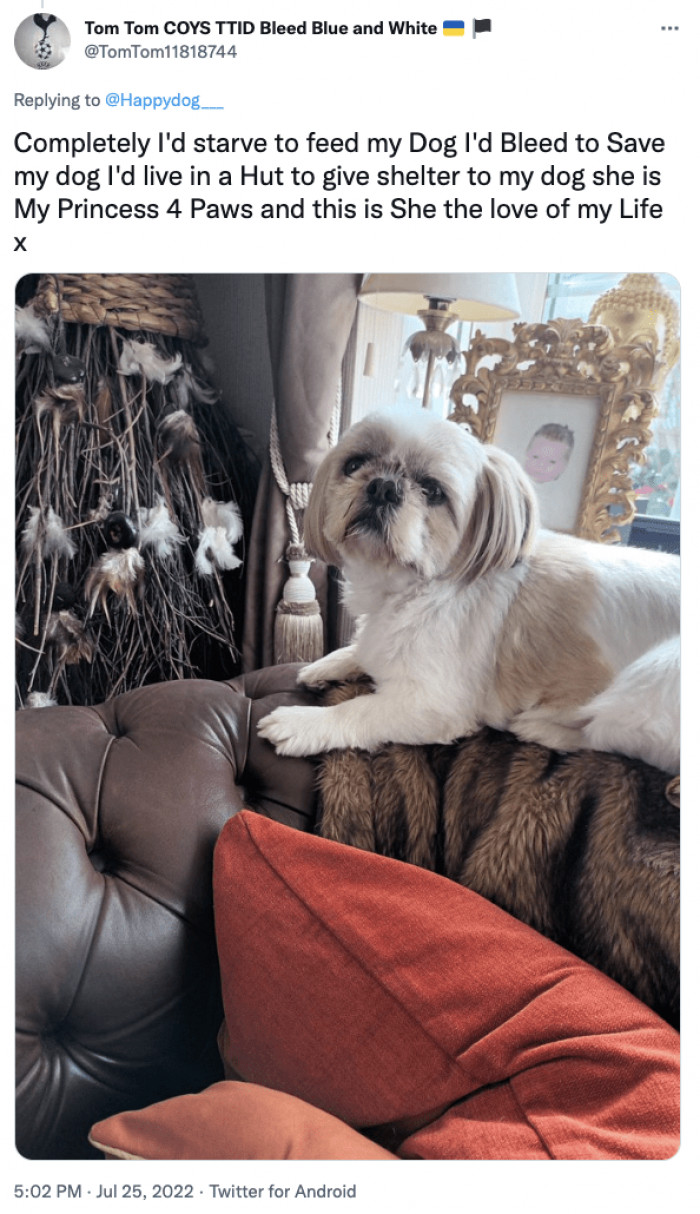 18. What some dog owners are willing to sacrifice