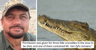 Wild Animal Hunter Meets His Match After Being Eaten By A Crocodile