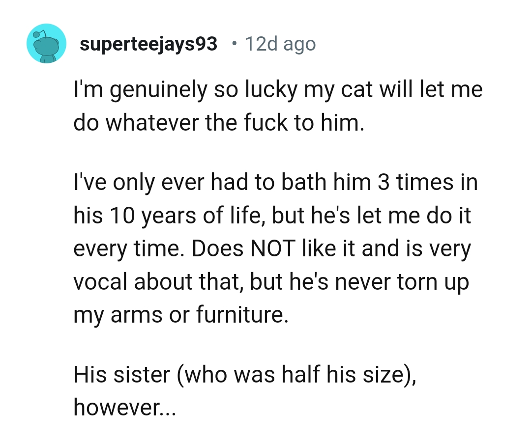 This Redditor had only had to bath their cat three times in his 10 years of life