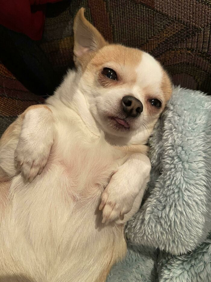 "Ending Me With Her Latest Pose"