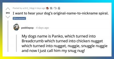 30 Hilarious Times People Revealed The "Original Name To Nickname Spiral" Given To Their Dogs