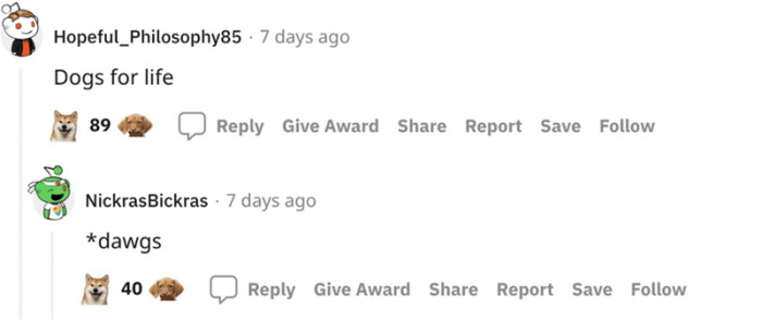 It's the dogs for life