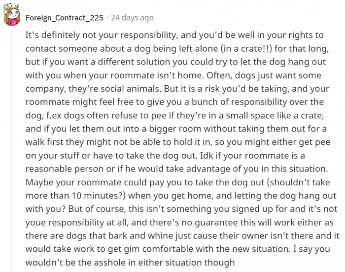 19. If OP does care for the dog or at least mind it while it's owner is gone, they might be taking on a responsibility they didn't sign up for