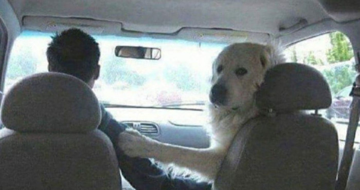 47. We are your parents now