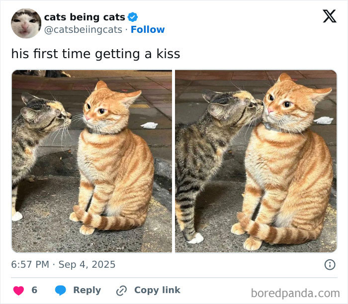 42. He’s rethinking every life choice that led to this moment.