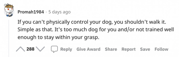 If you can't physically control your dog then...