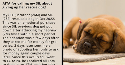 Woman Reprimands SIL After Discovering She Adopted A Rescue Dog, Only To Give It Up Shortly After
