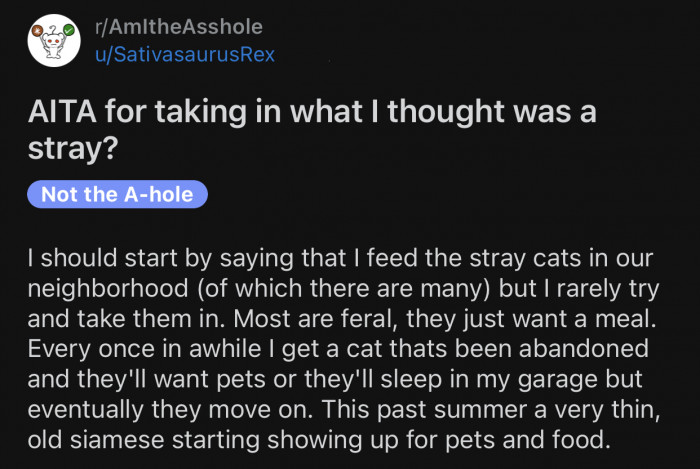 Here's the original post by Reddit user u/SativasaurusRex: