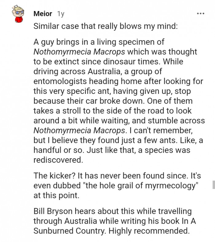 It has never been found since