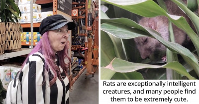 Couple's Viral Video Shows A Live Rat Hiding Away In A House Plant That Has Been Put Up For Sale At Home Depot