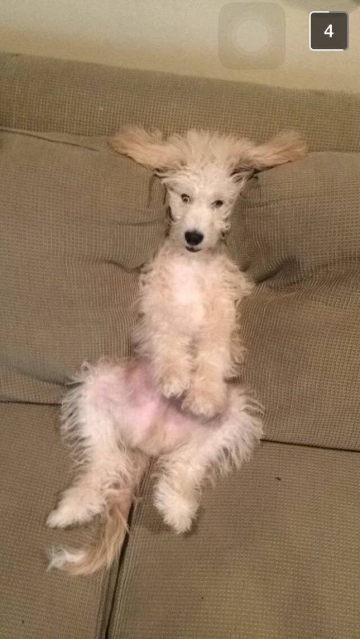 Their definition of comfort is different from ours.