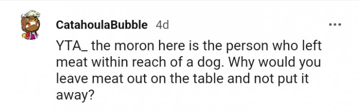 The moron here is the person who left the meat out in the first place