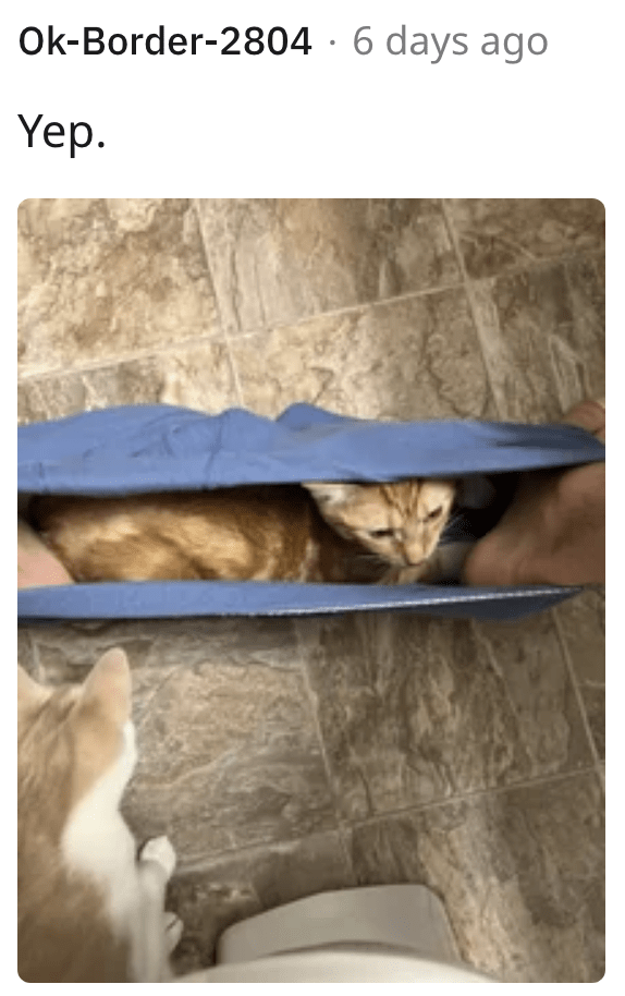 3. Now that's more like it