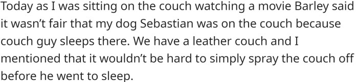 During an argument, the roommate told OP that Sebastian could not be on the couch because the couch guy sleeps there.