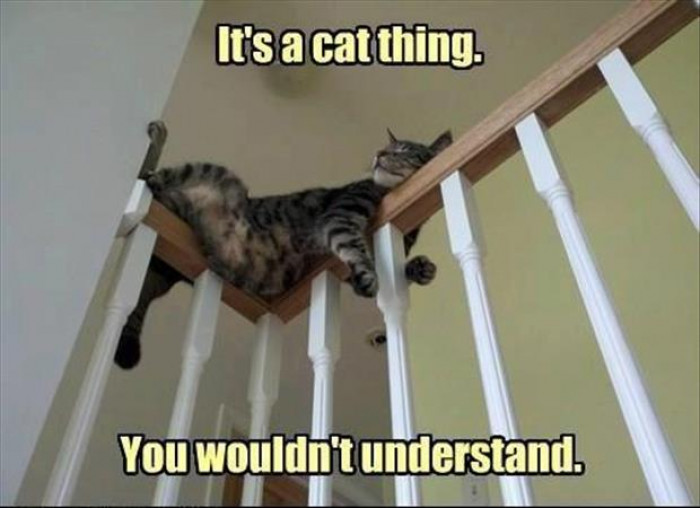 16. “It doesn’t matter how high up this is. It’s the stairs, and it’s comfy.”