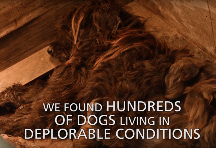 They were in a truly dire situation when they found them