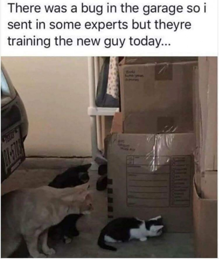 28. When your parents first let you do a chore in the house.