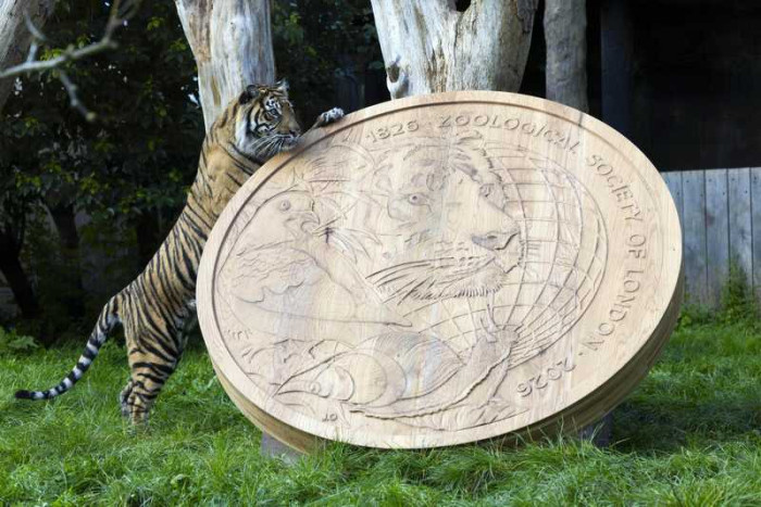 200 Years of Wildlife Conservation