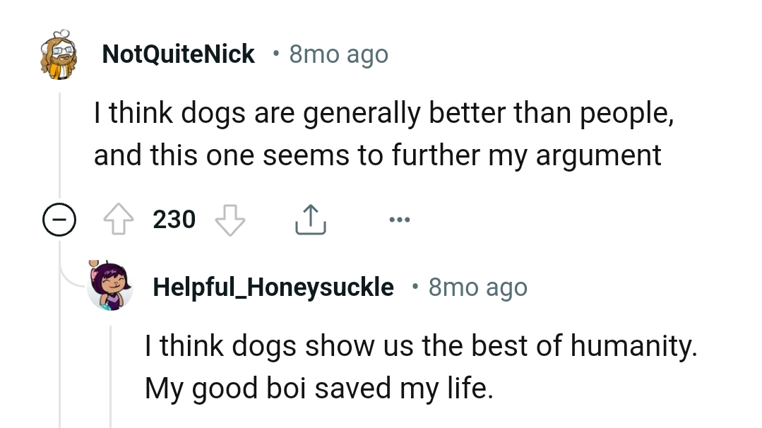 13. Dogs show us the best of humanity