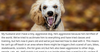 Couple Argues Over Keeping Dog Off Leash When Outdoors