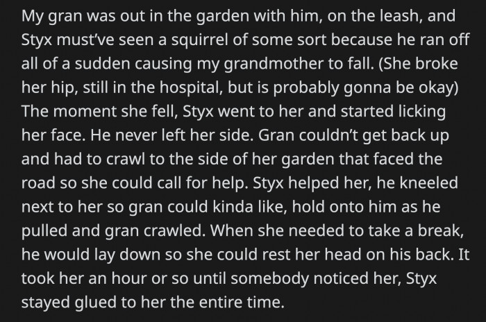 He stopped and offered himself as a pillow whenever grandma needed a break. It took OP's grandma about an hour before anyone noticed her, but Styx never left her side.