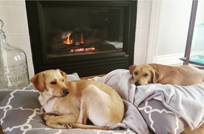 So when the time came for them to ask her which one she wanted to take home, she answered, “Both!”