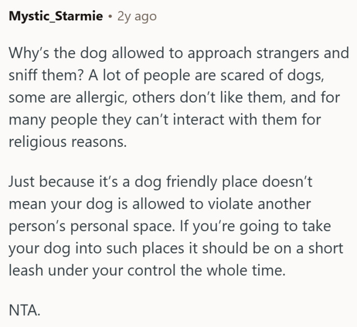 Some people don't like being approached by dogs—for all kinds of reasons...