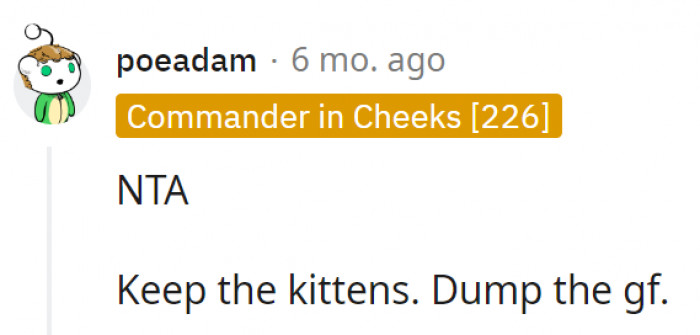 7. The kittens seem to be bringing him more joy anyway.