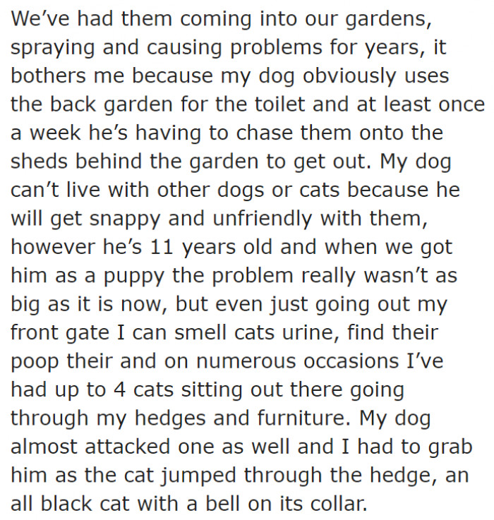 The original poster (OP) owns a dog, which makes things worse.