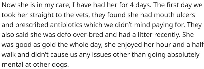 The OP agreed to take the dog in, finding out that she was good on the lead, good while walking, scared of men, and did not like cats.