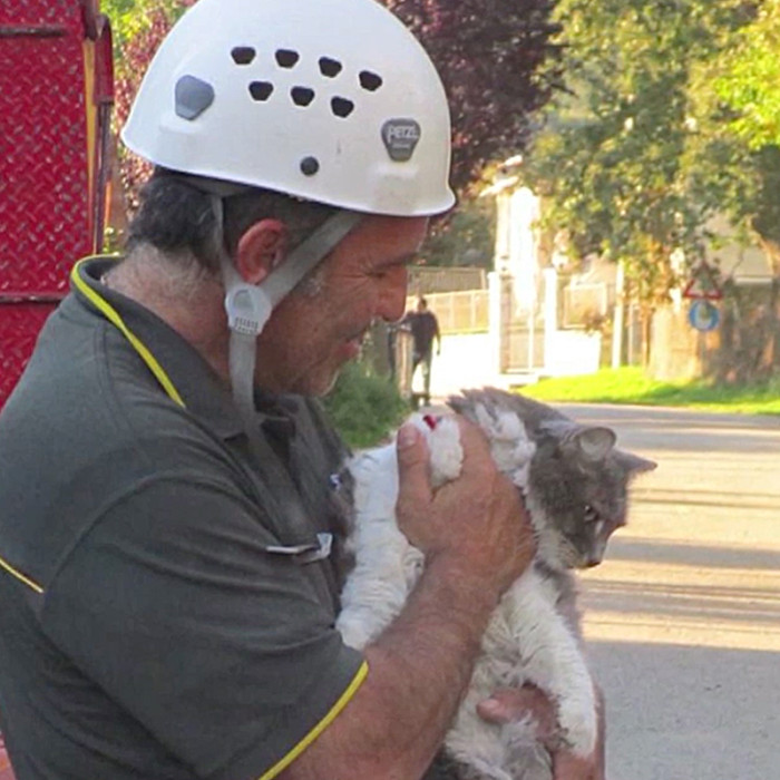 The story becomes even more courageous after learning that Rocco jumped from a window once he heard the firefighters.