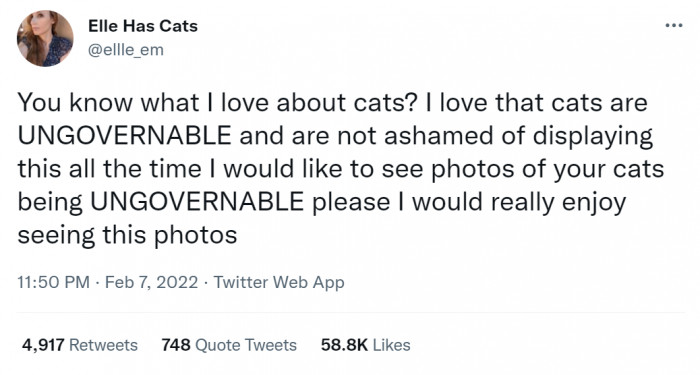 Here's the tweet that started it all! Good thing she did, because it seems like a LOT of people enjoyed seeing the photos (and videos)!