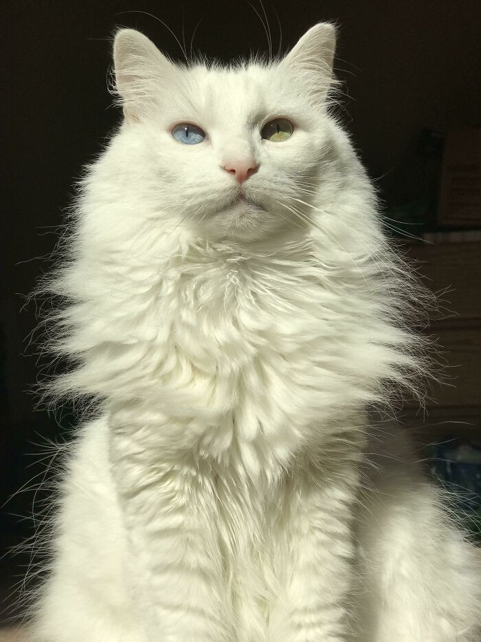 25. Honestly Any Picture Of Angel Is Majestic But This Is An Extra Big Mood