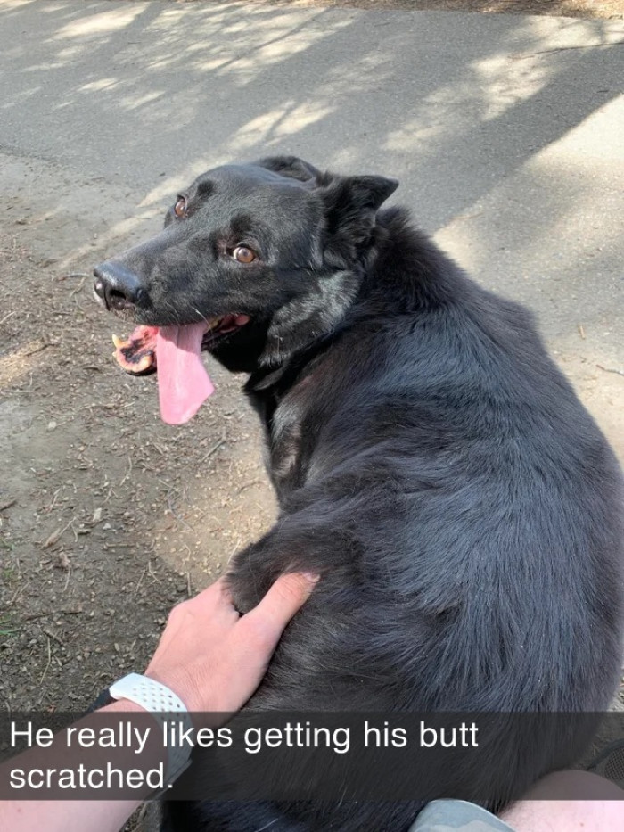 6. All that smile and twinkle in his eyes, all because of a butt scratch