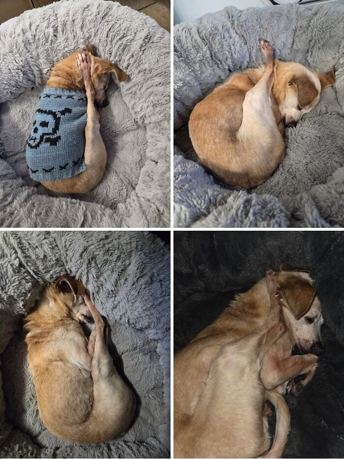 "Walter And His Weird Poses"