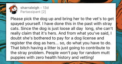 Woman Asks The Internet If She Should Kidnap Her Cousin's Dog To Have It Spayed