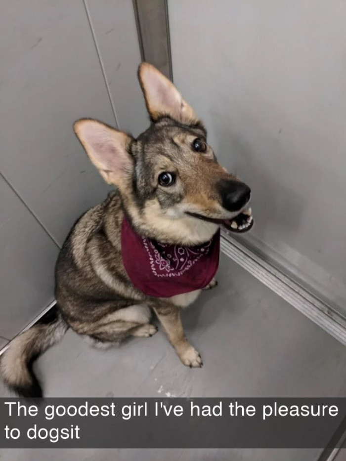 14. She looks like a sophisticated sorority girl