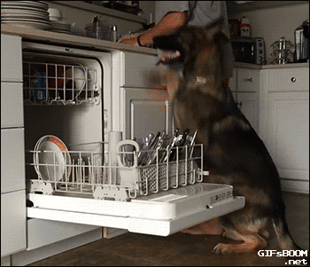 24. Using the dishwasher