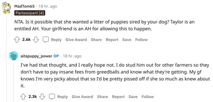 She Wanted a Litter of Puppies