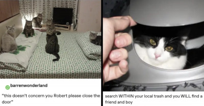 22 Humorous Tumblr Posts About Animals That Are So Awkward They’ll Make You Laugh