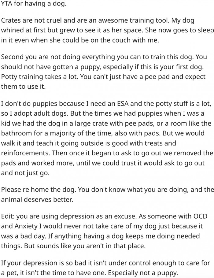 11. She has no business with adopting a puppy at this time.