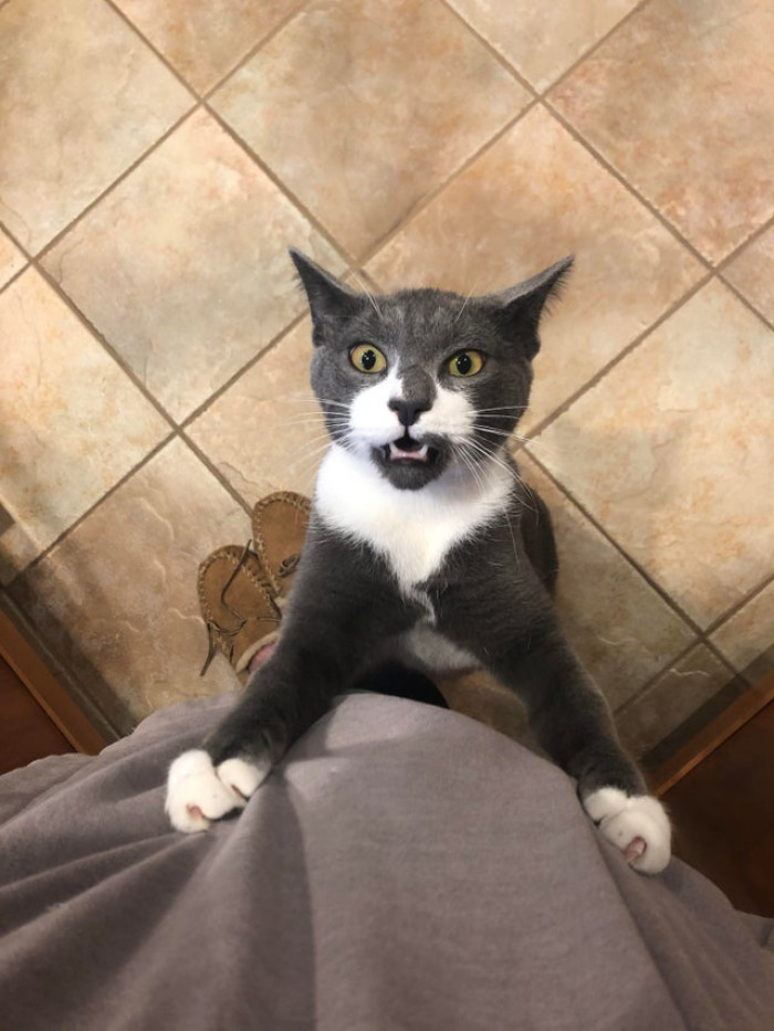 Demanding to be picked up