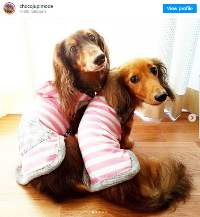 4. These twinsies are so adorable and have such large eyes that they almost make us cry: