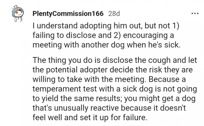 Doing a temperature test with a sick dog