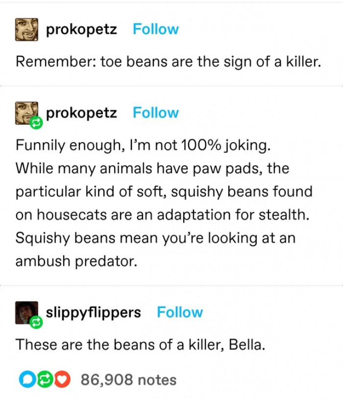 11. Do not touch the toe beans. Ever.