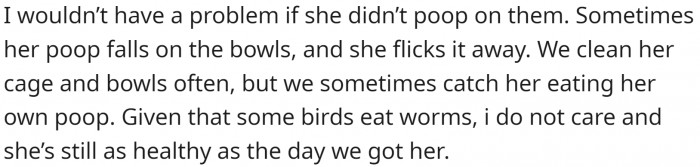 The bird also poops on those bowls