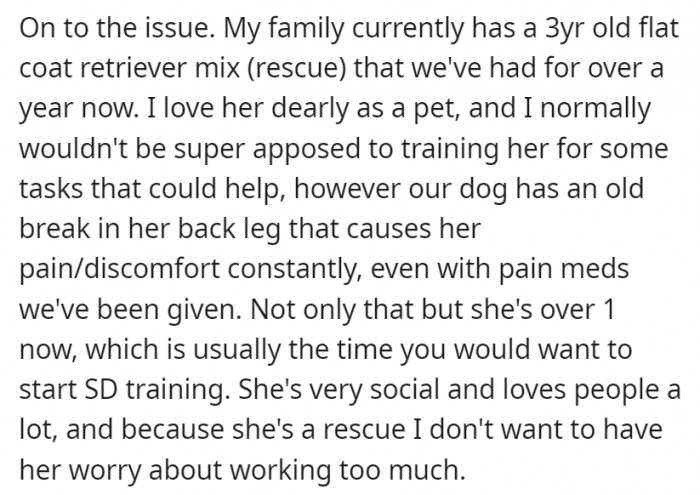 While they do have a retriever she could train, she thinks the dog is past the best training period, and she doesn't want to put too much stress on the dog.